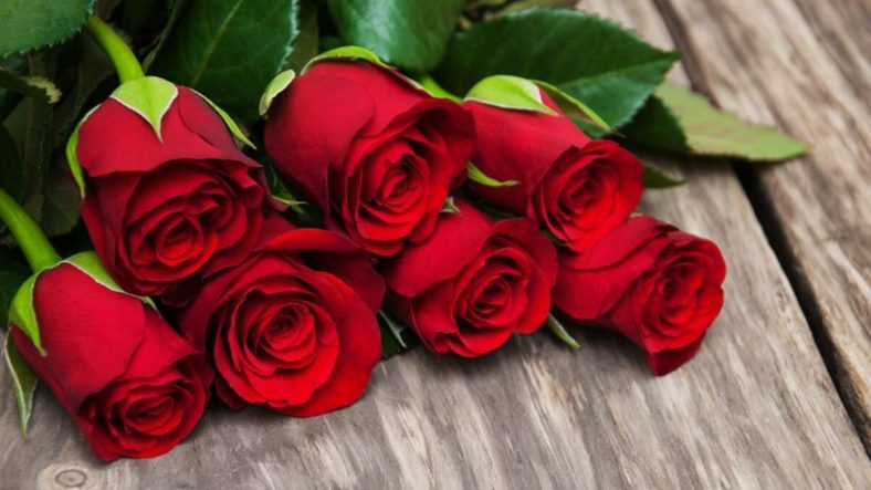 Mawar dan Aromaterapi: Manfaat Kesehatan dari Bunga